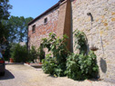 Ferme à vendre à thulin, hainaut :  